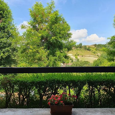 Agriturismo Il Burlino Apartments Lerma Luaran gambar