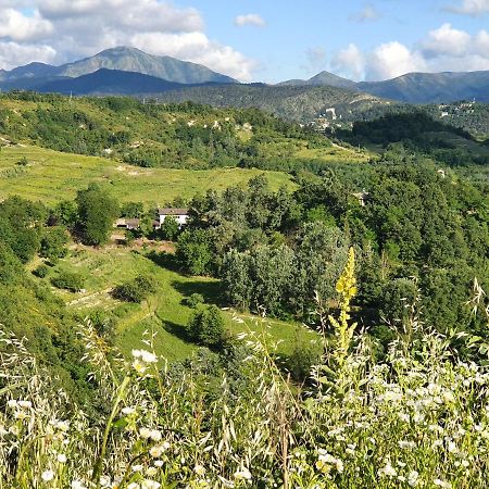 Agriturismo Il Burlino Apartments Lerma Luaran gambar