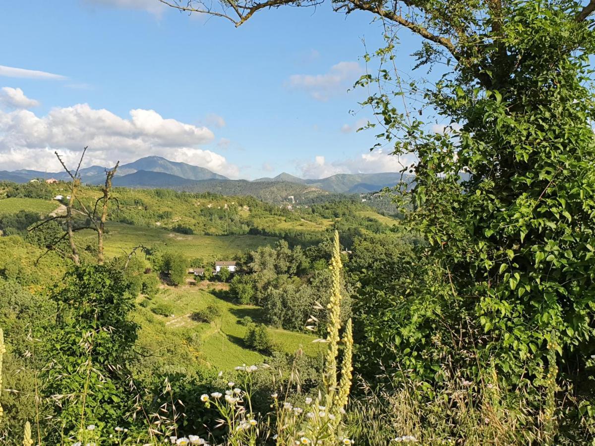 Agriturismo Il Burlino Apartments Lerma Luaran gambar