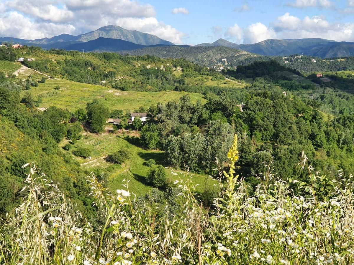 Agriturismo Il Burlino Apartments Lerma Luaran gambar